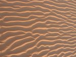 tunesien_2007_von_marco_50_20100321_1132242545.jpg