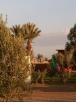 marrakech_-_tizi_n_test_-tarudant_20101214_1230470439.jpg