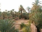 zagora_20101222_1994950545.jpg