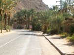 zagora_und_umland_20101216_1192442621.jpg