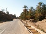 zagora_und_umland_20101216_1208054105.jpg