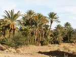 zagora_und_umland_20101216_1938297570.jpg