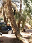 zagora_und_umland_20101216_1998925255.jpg