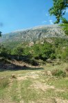 albanien_2006_82_20100314_1308423585.jpg