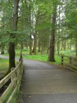 scotland_2012_20120801_2055508580.jpg